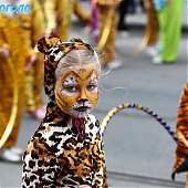 День Тигра: Полосатое шествие