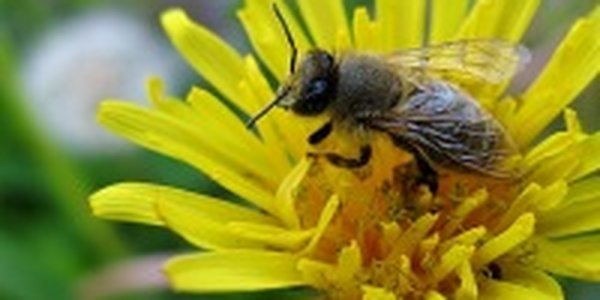 Во Владивостоке воздух прогреется до +22°С