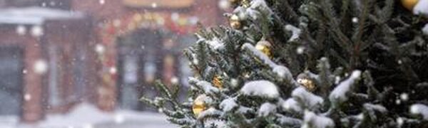 Крещенские морозы до -33°С ожидаются в Приморье