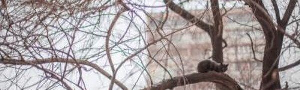 Погода на выходные: в Приморье начнет теплеть