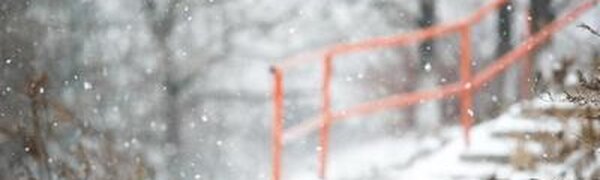 Прогноз на первую рабочую неделю 2026 года: погода в Приморье без значительных ухудшений