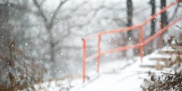 Прогноз на первую рабочую неделю 2026 года: погода в Приморье без значительных ухудшений