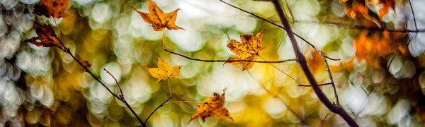 К концу недели в Приморье значительно потеплеет