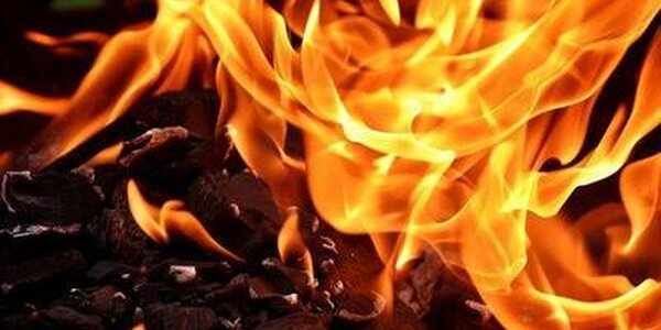 Внимание! 9 – 11 апреля в Приморье ожидается 4 класс пожароопасности леса 