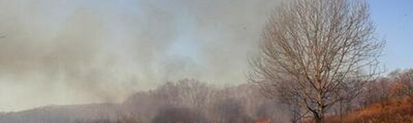Дожди, прошедшие на выходных, не повлияли на пожароопасную обстановку в Приморье