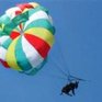 Ослица с парашютом попала в кремлевские конюшни