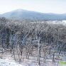 Сезон подледной рыбалки можно считать закрытым