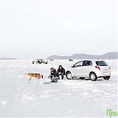 Сезон подледной рыбалки можно считать закрытым