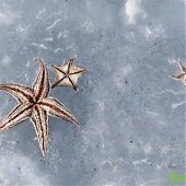 Сезон подледной рыбалки можно считать закрытым