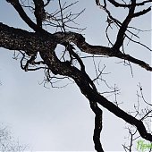 Сезон подледной рыбалки можно считать закрытым