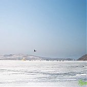 Сезон подледной рыбалки можно считать закрытым