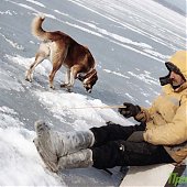Сезон подледной рыбалки можно считать закрытым