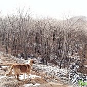 Сезон подледной рыбалки можно считать закрытым