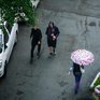 Во Владивостоке выпало 122 % декадной нормы дождя