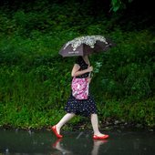 Во Владивостоке выпало 122 % декадной нормы дождя