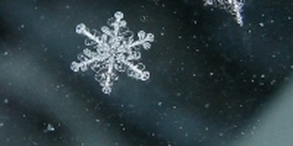 Завтра в Приморье и Владивостоке возможен небольшой снег