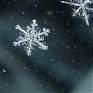 Завтра в Приморье и Владивостоке возможен небольшой снег