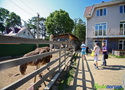 Отличное настроение в пасмурный день