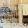 Отличное настроение в пасмурный день