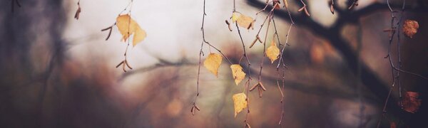 На выходных в Приморье похолодает. Подробный прогноз погоды