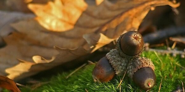 Последние выходные октября в Приморье были прохладными