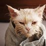 Часть жителей Советского района останется без горячей воды до конца лета