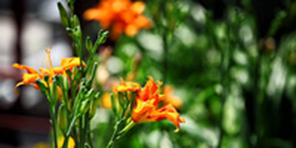 В ближайшие дни улучшения погоды можно не ждать