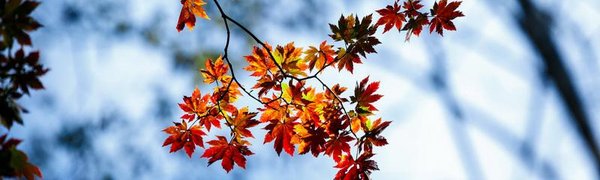 Осадки и значительное похолодание ожидают Приморье на следующей неделе