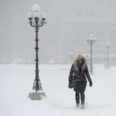 Рекордный снегопад в Канаде: за день выпало 50 см снега