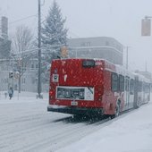 Рекордный снегопад в Канаде: за день выпало 50 см снега