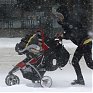 Рекордный снегопад в Канаде: за день выпало 50 см снега