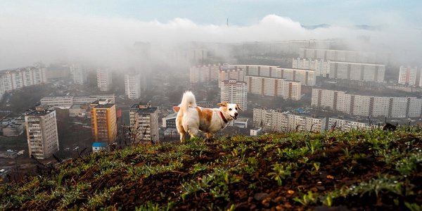 Погода в Приморье на неделю: местами до +23 °C и прохлада на побережье