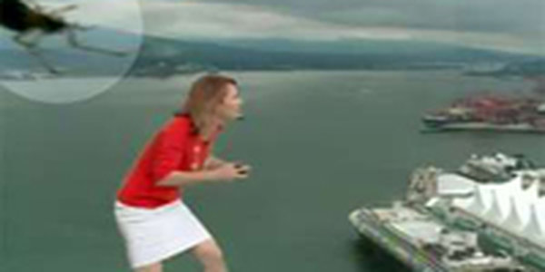 Огромный паук в кадре довел до истерики ведущую прогноза погоды