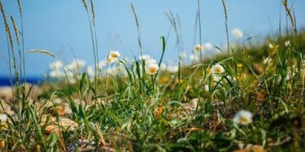 В последние выходные лета погода в Приморье наладится