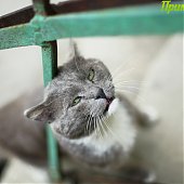 Весной самое время...