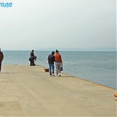 Весной самое время...