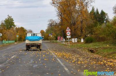 На следующей неделе в Приморье будет прохладно и ветрено