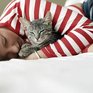 Кошки официально признаны «лечебными животными»