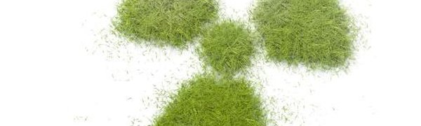 Радиационный фон в Приморье находится в пределах нормы