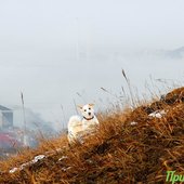 Тепло в Приморье задержалось ненадолго