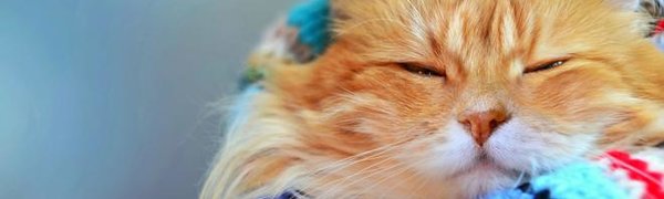 Ноябрь 2016 года в России стал самым холодным в 21 веке