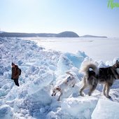 Приморье кратковременно накрыла волна тепла