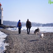 Приморье кратковременно накрыла волна тепла