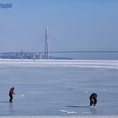 Приморье кратковременно накрыла волна тепла