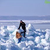 Приморье кратковременно накрыла волна тепла