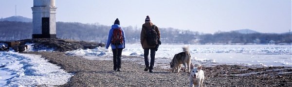 Приморье кратковременно накрыла волна тепла