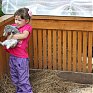 Контактный зоопарк «Садгород»: трогать руками разрешается