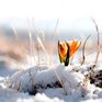 День весеннего равноденствия: наступает астрономическая весна