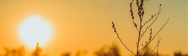 Минувший октябрь был самым теплым за всю историю метеонаблюдений