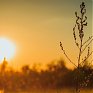 Минувший октябрь был самым теплым за всю историю метеонаблюдений